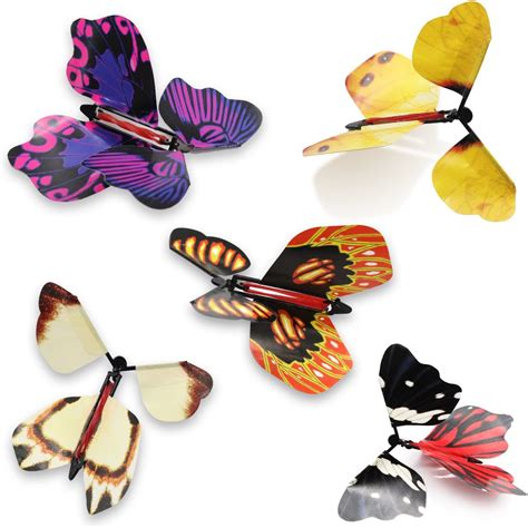 The Magic of Flight: Observing and Documenting Flying Butterflies in Their Natural Habitat